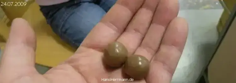 Süßkram-Geschenk von einem Kind