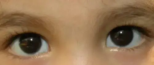 Die Augen von SHABNAM (2)