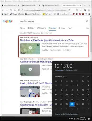 Google-Suche: insekt im monitor