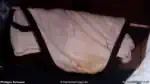007