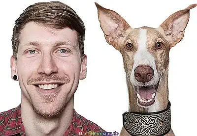 fotokiste_aehnlichkeiten_20.webp