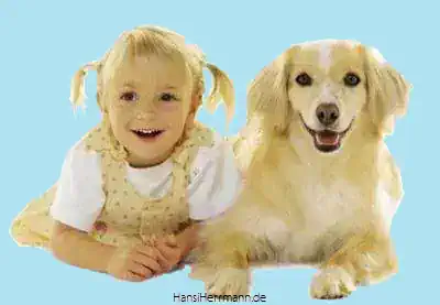 fotokiste_aehnlichkeiten_24.webp