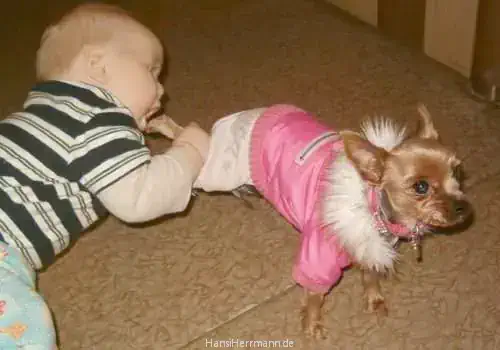fotokiste_kinder01_06.webp