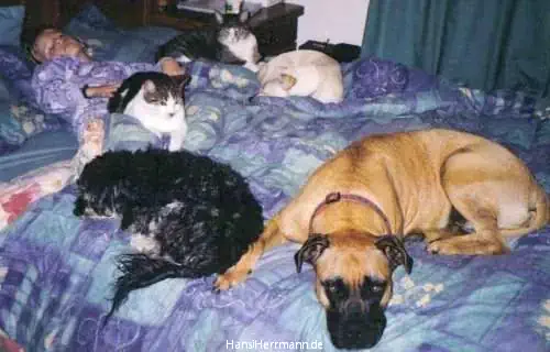 fotokiste_kinder02_07.webp