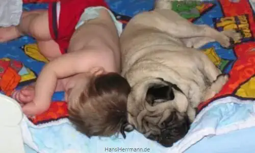 fotokiste_kinder02_09.webp
