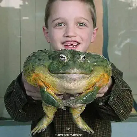 fotokiste_kinder03_02.webp