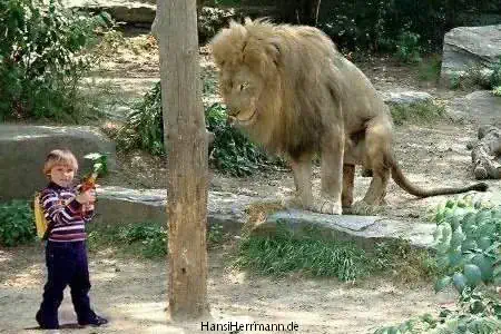 fotokiste_kinder03_04.webp