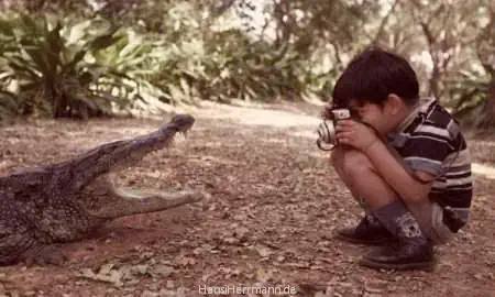 fotokiste_kinder03_06.webp