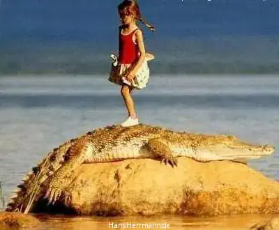 fotokiste_kinder03_07.webp
