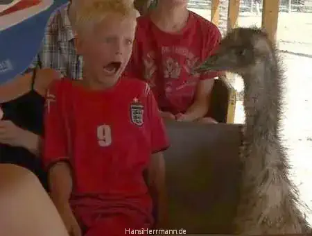 fotokiste_kinder03_12.webp