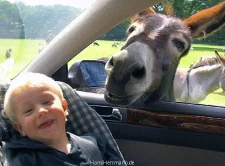 fotokiste_kinder04_01.webp