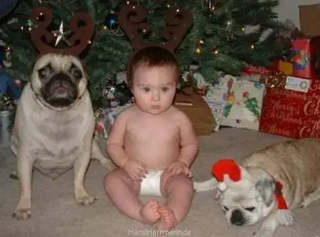 fotokiste_kinder04_02.webp