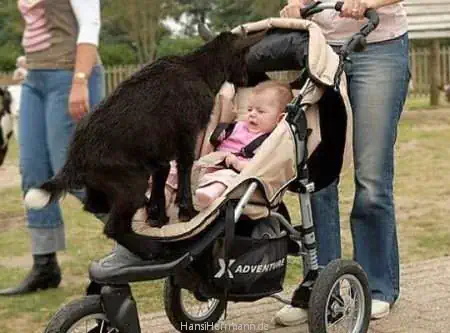 fotokiste_kinder04_03.webp