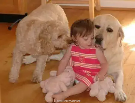 fotokiste_kinder04_10.webp