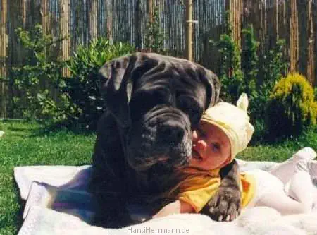 fotokiste_kinder04_11.webp