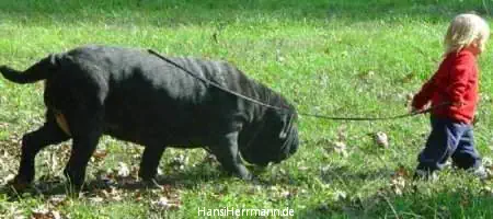 fotokiste_kinder04_12.webp