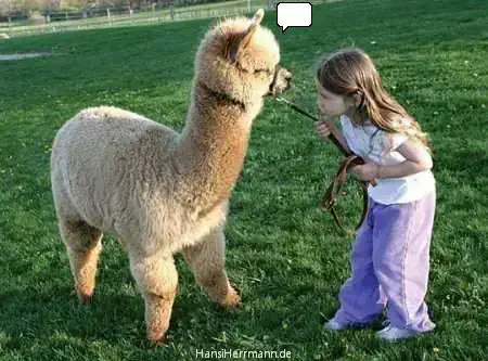 fotokiste_kinder04_13.webp