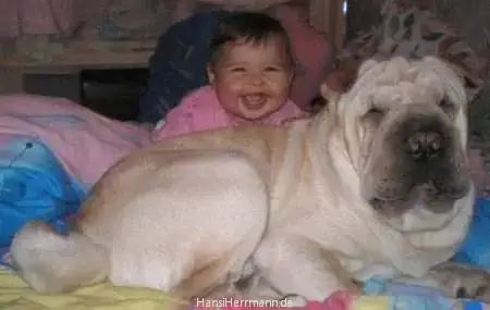 fotokiste_kinder04_14.webp