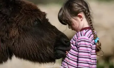 fotokiste_kinder05_02.webp