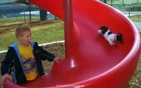 fotokiste_kinder05_05.webp