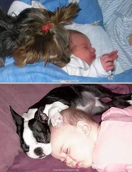 fotokiste_kinder05_12.webp