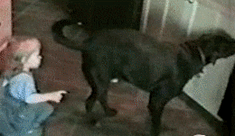 fotokiste_kinder05_18.gif