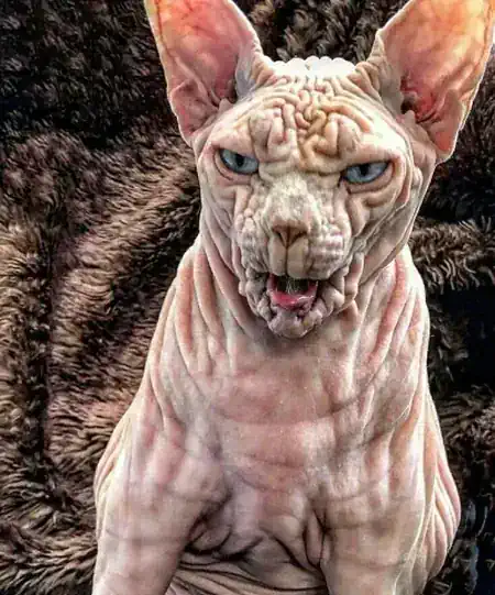 fotokiste_ratschlaege2_21.webp