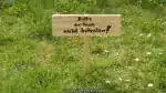 Bild 026
