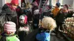 Bild 080