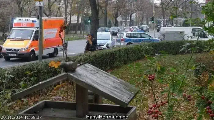 Polizei- und Feuerwehr-Einsatz
bei dementem Mieter