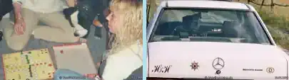 Mein Pitty kann lesen, Mensch-ärgere-dich-nicht spielen und Autofahren!