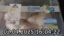 Bild 17