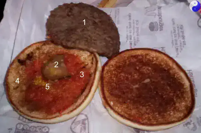 Diesen gammeligen BURGER von McDonald´s würde ich nicht mal einer
 hungrigen Ratte zumuten!