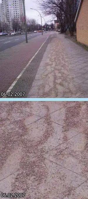 sauerei_01.webp