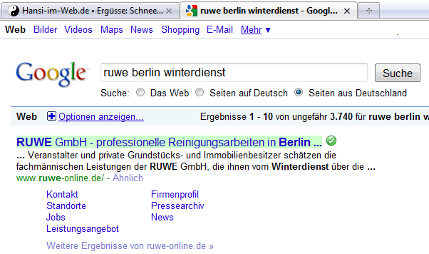 Die RUWE-Webseite bei Google.
