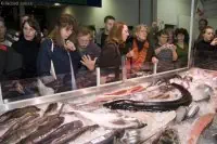 Bild 030