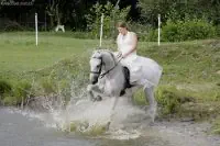 Bild 032