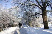Bild 009