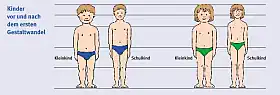 guv-si-8045_3a.webp