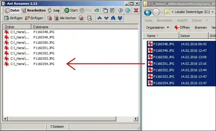 antrenamer_bilder-umbenennen1.webp