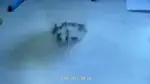 Video-Vorschaubild