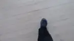 Video-Vorschaubild