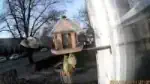 Video-Vorschaubild